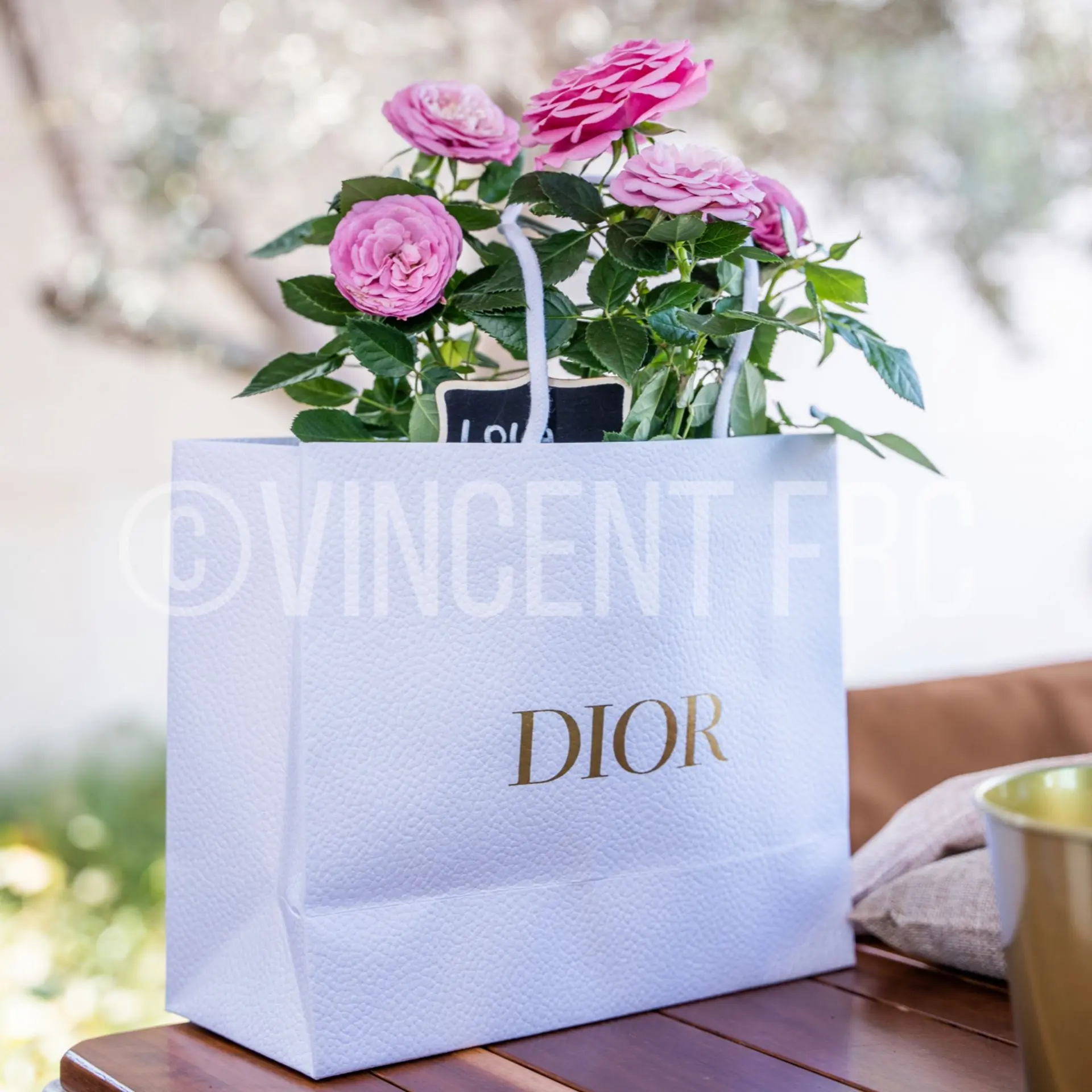 Shooting dior produits sans toxic, a la main dior prestige accessoire